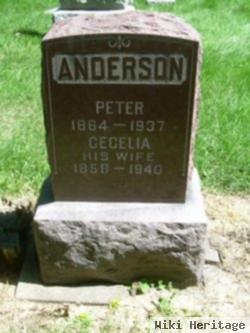 Peter Anderson