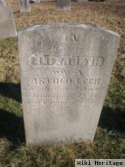 Elizabeth Gruver Leer