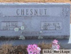 Zelma Ruth Chesnut