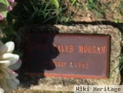 David Caleb Morgan