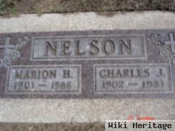 Charles J. Nelson