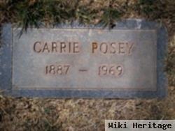 Mary Caroline "carrie" Arthur Posey