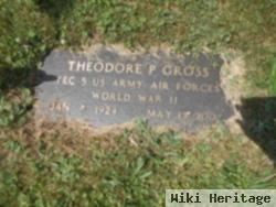 Theodore P. Gross