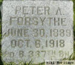 Peter A Forsythe