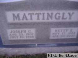 Joseph C Mattingly