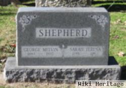 Sarah Teresa Blakely Shepherd