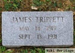 James F Trippett