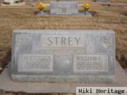 William E Strey