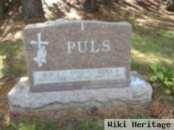 Roy J Puls