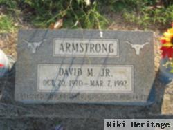 David M Armstrong, Jr