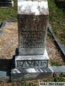 Mary Alice "allie" Lewis Payne