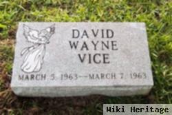 David Wayne Vice