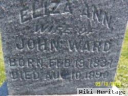 Eliza Ann Vint Ward