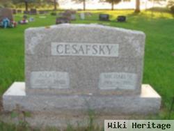 Michael R Cesafsky