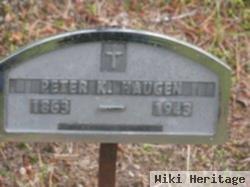 Peter K Haugen