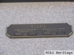 Robert F. Gipe