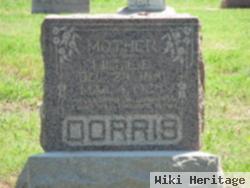 Lillie B. Dorris