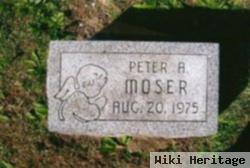 Peter A. Moser