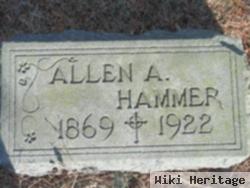 Allen A Hammer