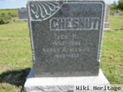 Iven Hill Chesnut