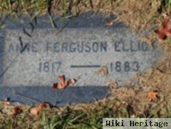 Anne Ferguson Elliott