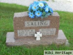 Calvin Mitchell Saling