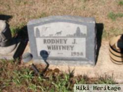 Rodney J Whitney