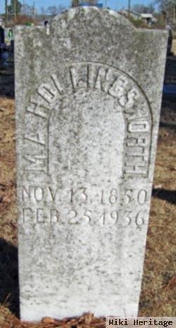 Marguerite Ann Mccaleb Hollingsworth