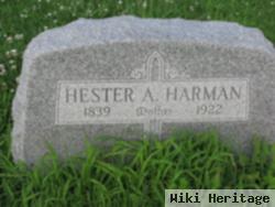 Hester Ann Cheek Harman