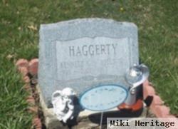 Kenneth C Haggerty