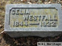 Helen Cecila Van Auken Westfall