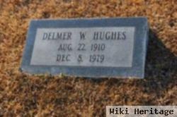 Delmer W Hughes