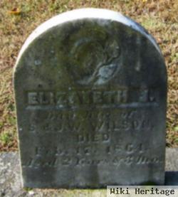 Elizabeth J Wilson