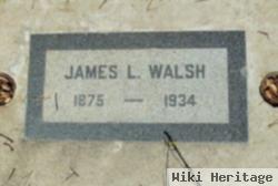 James L Walsh