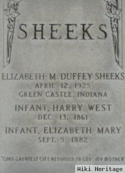 Elizabeth M. Duffey Sheeks