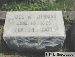 Joel Walker Jenkins