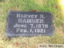 Harvey H Hammer