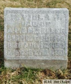 M. Viola J. Zeller