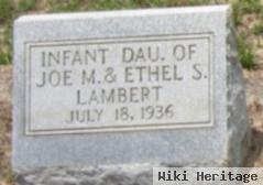 Infant Daughter Lambert