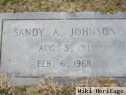 Sandy A Johnson