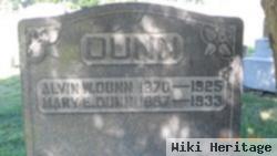 Alvin W Dunn