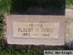 Albert A. Mann