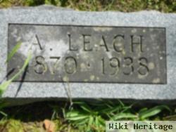 Arch Leach