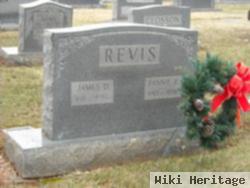 Fannie Perry Lee Guthrie Revis