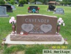 Peggy Ann Schaubach Cavender