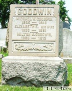 Michael William Goodwin