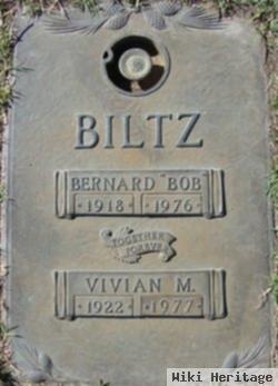 Vivian M Wallin Biltz