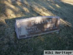 Nettie Rosetta Klinck Collins