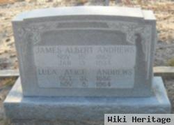 James Albert Andrews