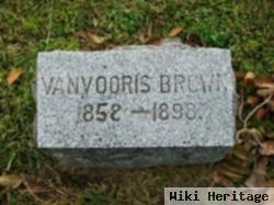 Van Vooris Brown